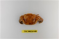 藏品(字纹弓蟹)的圖片